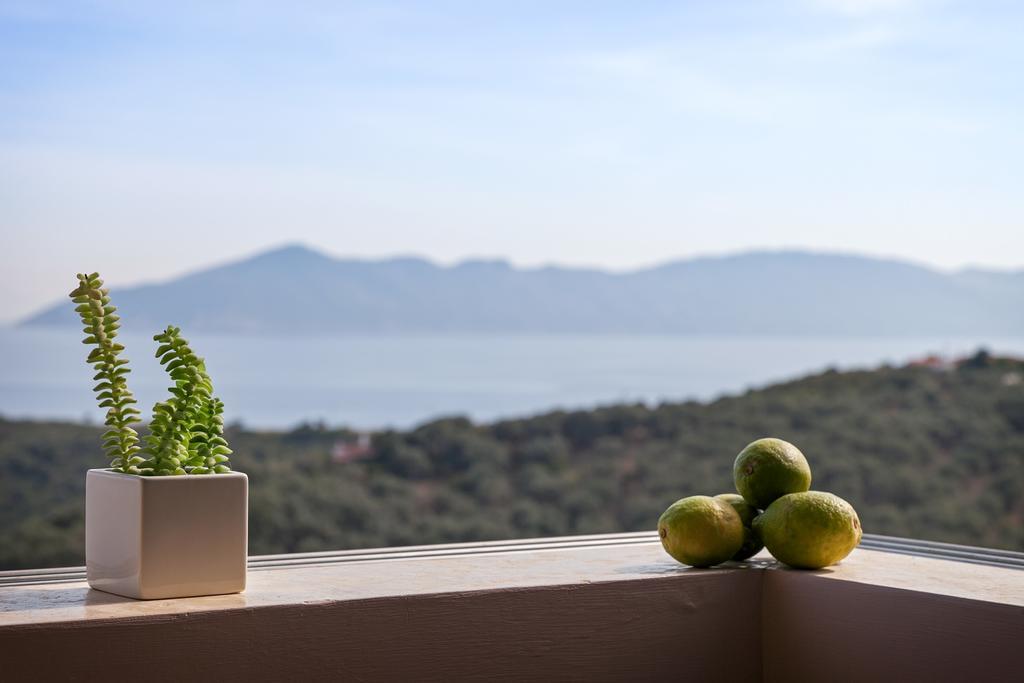 Olivia'S Villas Of Luxury Kalivia  المظهر الخارجي الصورة